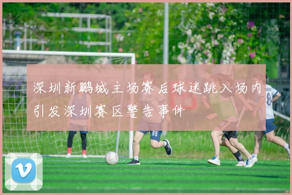 深圳新鹏城主场赛后球迷跳入场内引发深圳赛区警告事件